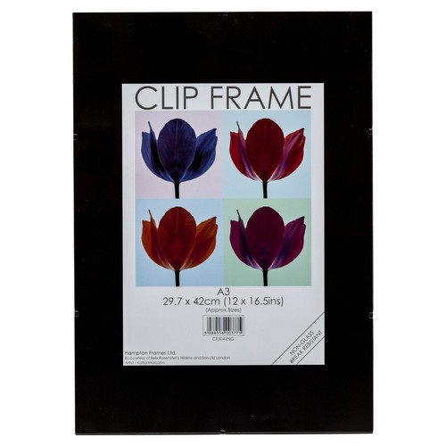 A4 clip frame - a1, a3