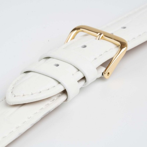 White value alligator - alligator, grain