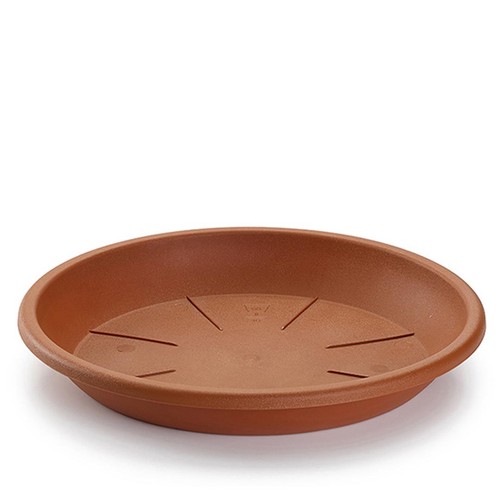 Plant pot saucer - plant,