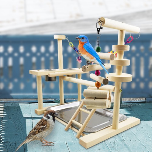 Wood pet parrot - wood, with