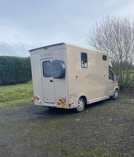 Horsebox automatic renault - horsebox,
