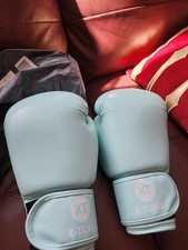 Blue tone fitness boxing - blue,