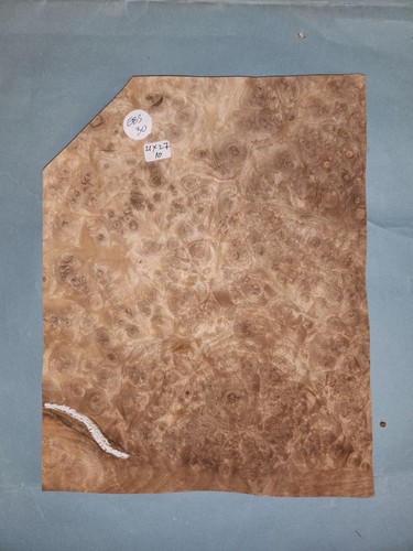 European walnut burr - european,