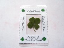 real four leaf clover,  goodluck gift, keepsake, lucky clover,genuine 4 leaf