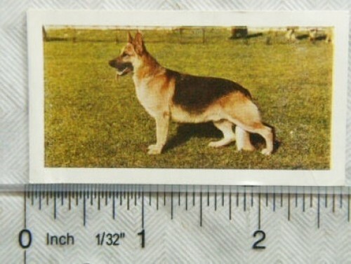1961 hornimans tea dogs - tea, 26