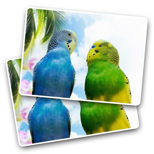 Vinyl sticker pretty budgie - sticker,