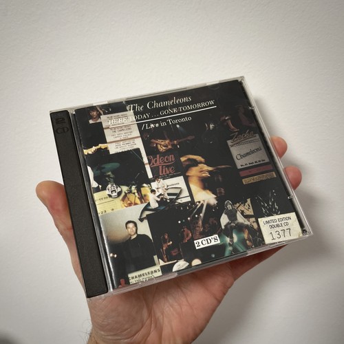 The chameleons here - chameleons,