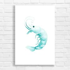 Aqua Blue Shrimp Canvas Print