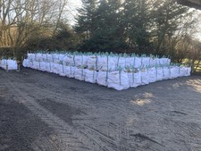  Cotswold Walling Stone