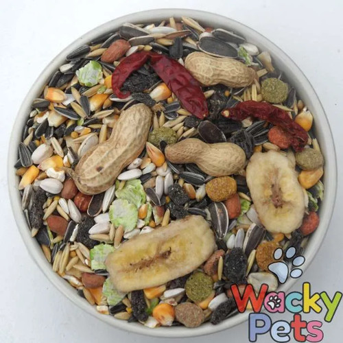Parrot food seed - food, mix