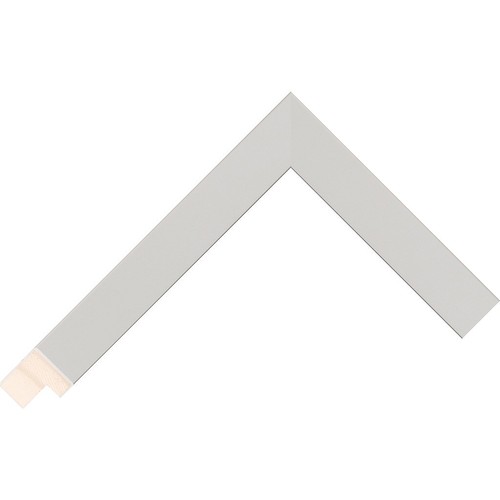 Large 23mm picture frame - picture,