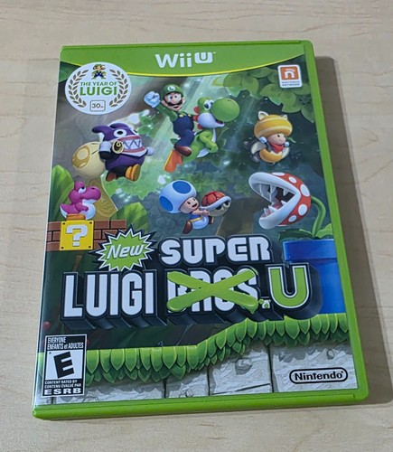 New super luigi - u, wii
