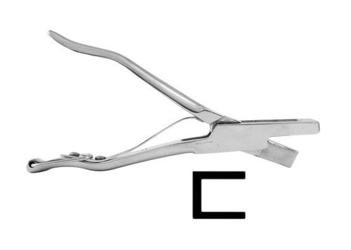Agrihealth square end cut - agrihealth, ear