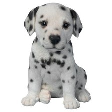 Dalmatian Puppy Pet Pal by