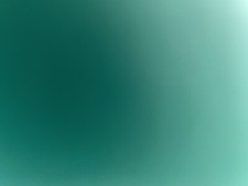 Reebok Alien Stomper Xenomorph