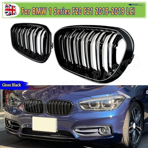 Front kidney grill - grill, grille