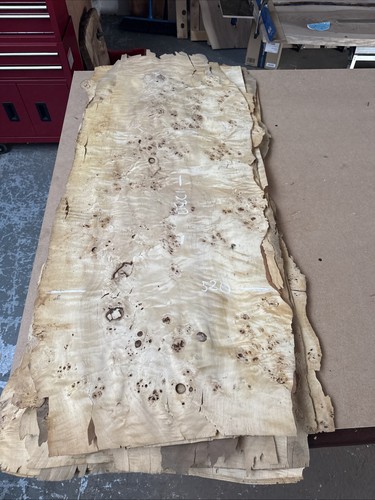Poplar mapa burl burr veneer - burl,