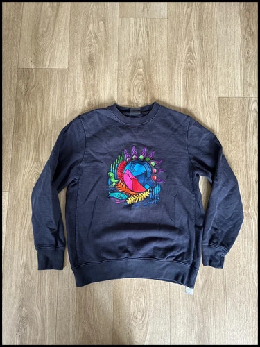 Paul smith mountain scene - mountain,