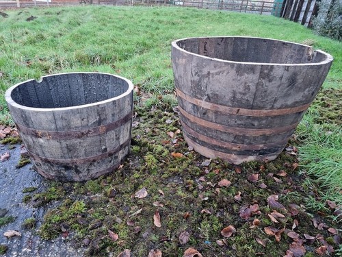 Giant extra large oak sherry - /,