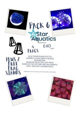 ?Starter Soft Coral Pack x4 Frags Blue symp, Jamsin cloves, mushroom zoa PACK 6