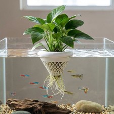 Plastic Hydroponic Plant