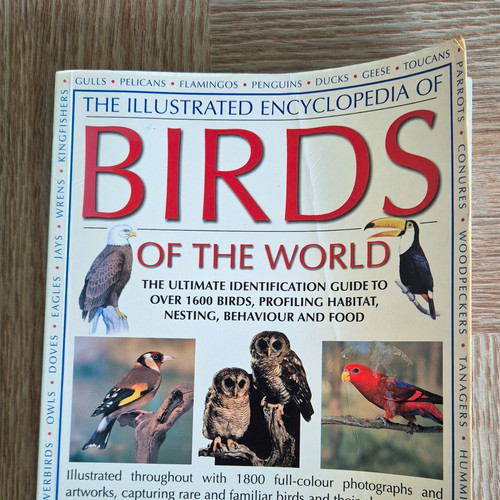 David alderton illustrated - david,