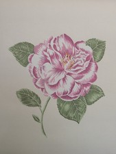 vintage style floral wallpaper