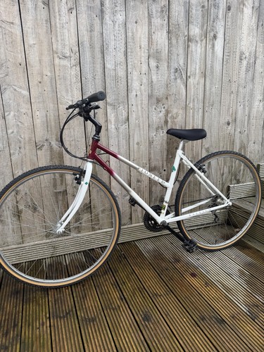 Raleigh pioneer vintage - raleigh,