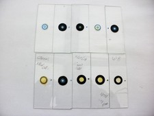 10 Vintage Microscope Slide