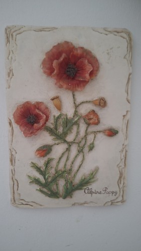 Vintage alpine poppy - alpine,