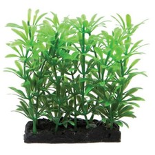 Fish 'R' Fun Aquarium Plants