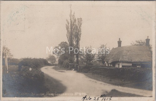 Essex postcard old rodney - essex,