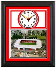 Southampton  stadium gift