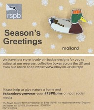 RSPB Pin Badge Special Christmas Mallard P02961