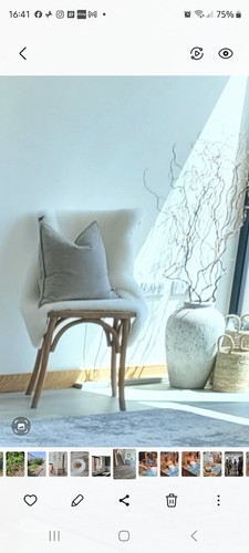 Sage green velvet cushion - sage,
