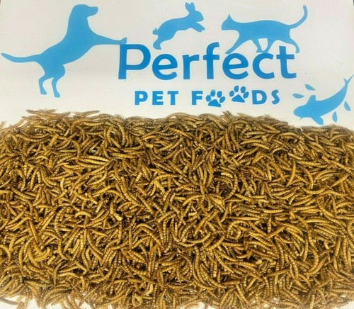 Meal worm dried suitable for - meal,