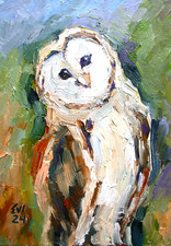 Owl Bird Original oil painting