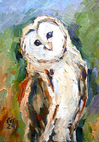 Owl bird original oil - bird,