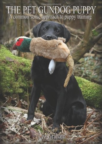 The pet gundog puppy common - pet,