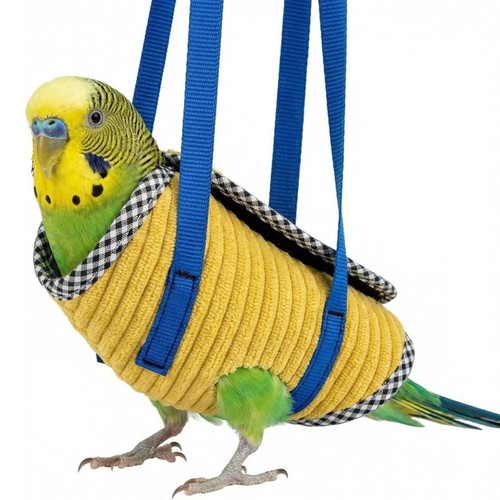 2026 portable bird - 2026, carrier