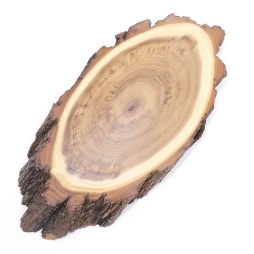 Trophy plaque acacia 22cm - trophy,