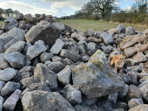 Big rocks and - , small