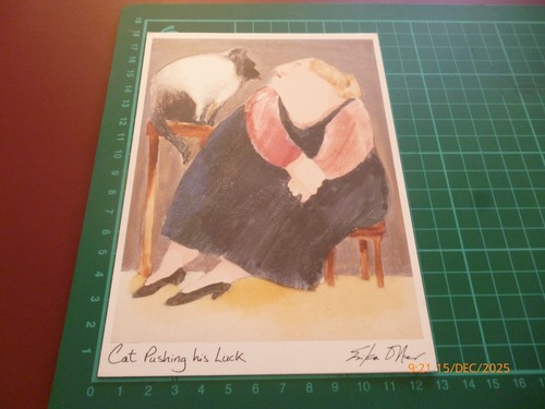 Erika oller cat pushing - pushing, his