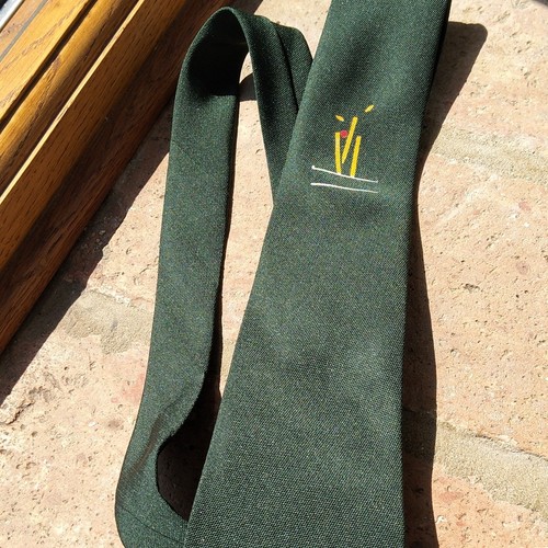 Ernex green polyester tie - green,