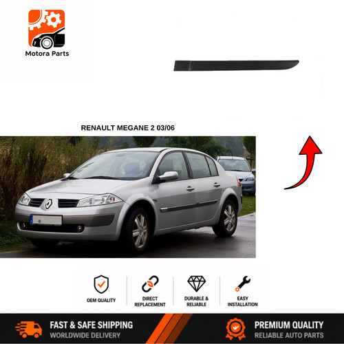 Door side molding - side,