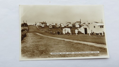 Postcard filey primrose - postcard, filey,