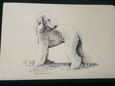 Bedlington terrier print - terrier,