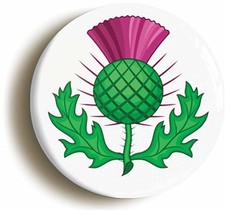 SCOTLAND THISTLE BADGE BUTTON
