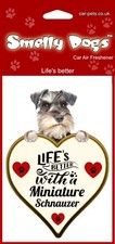 Miniature schnauzer dog 2 x - 2,