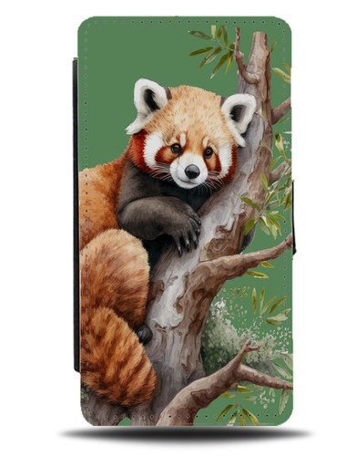 Red panda chilling the - red,